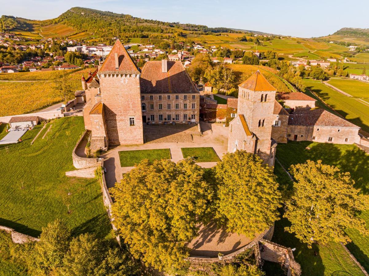 Chateau De Pierreclos المظهر الخارجي الصورة