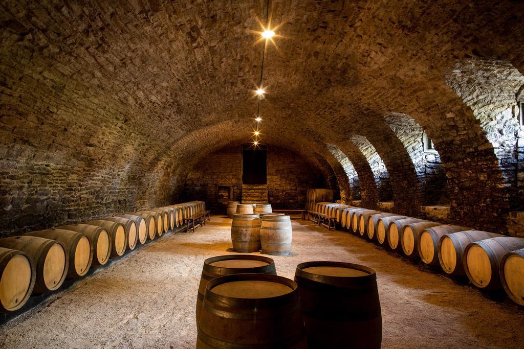 Chateau De Pierreclos المظهر الخارجي الصورة